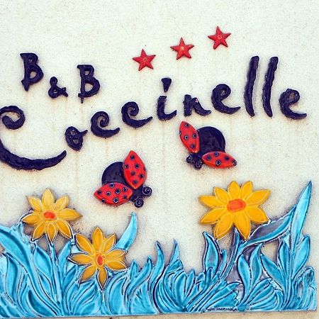 B&B Coccinelle サン・ヴィート・ロ・カーポ エクステリア 写真